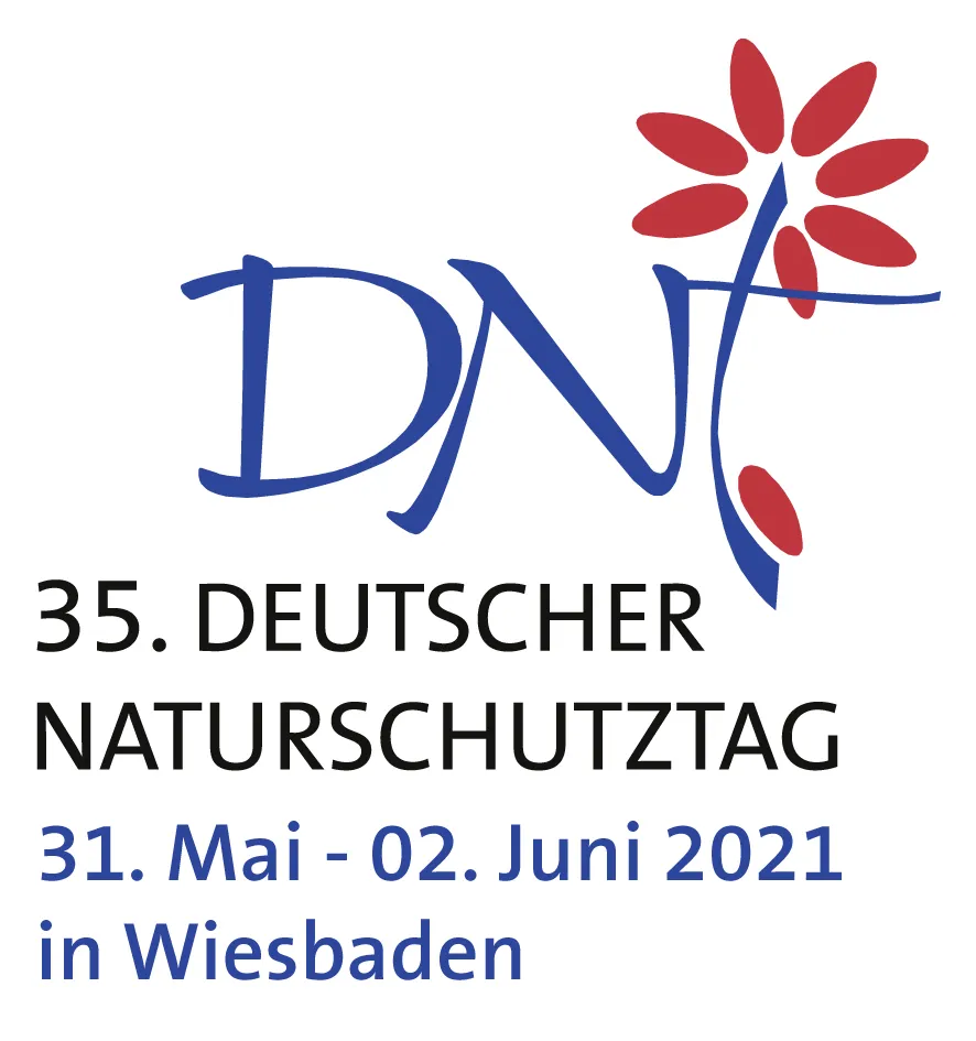 35DNT_kompakt